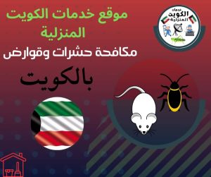 مكافحة حشرات وقوارض