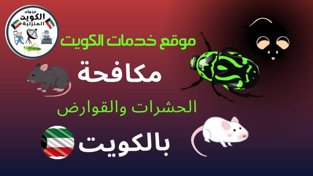 شركه مكافحة القوارض والحشرات