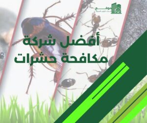 أفضل شركة مكافحة حشرات بالكويت