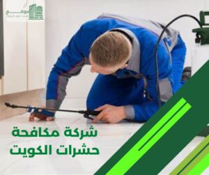 شركة مكافحة حشرات الكويت