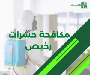 مكافحة حشرات رخيص